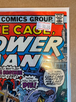 Luke Cage Power Man (Issue 40)