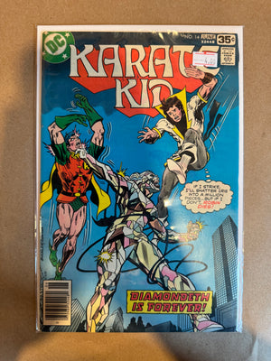 Karate (Issue 14)