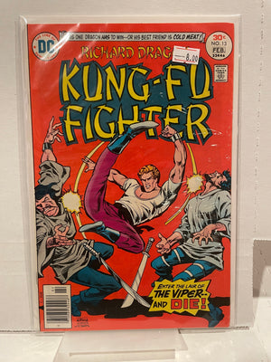 Kung-Fu Fighter Issue 13