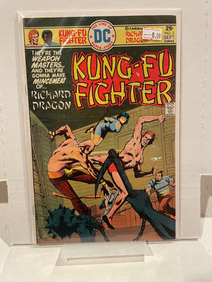 Kung-Fu Fighter Issue 3
