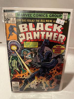 Black Panther (Issue 2)