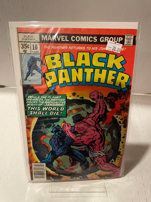 Black Panther (Issue 10)